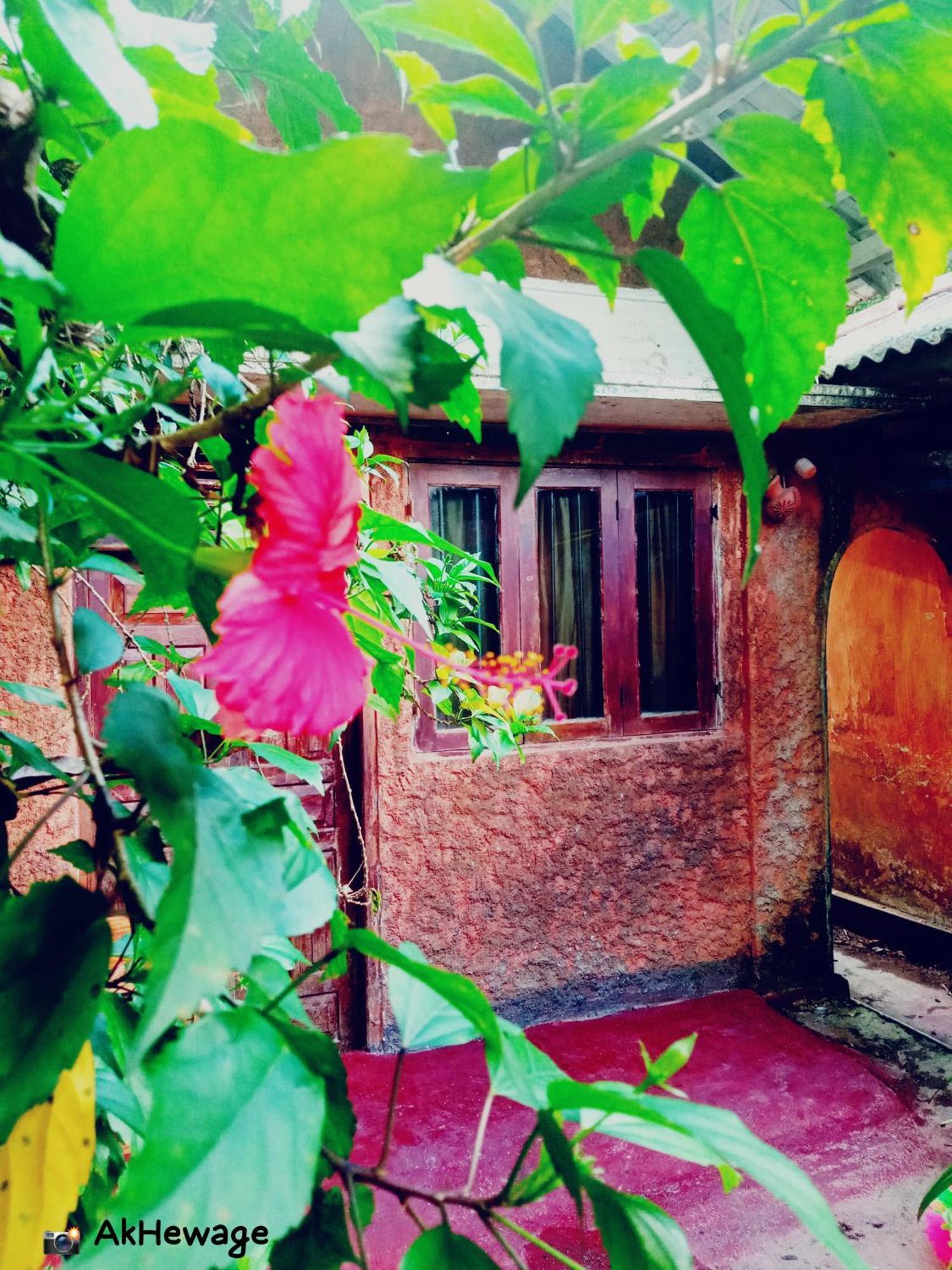 My House Аханґама Номер фото